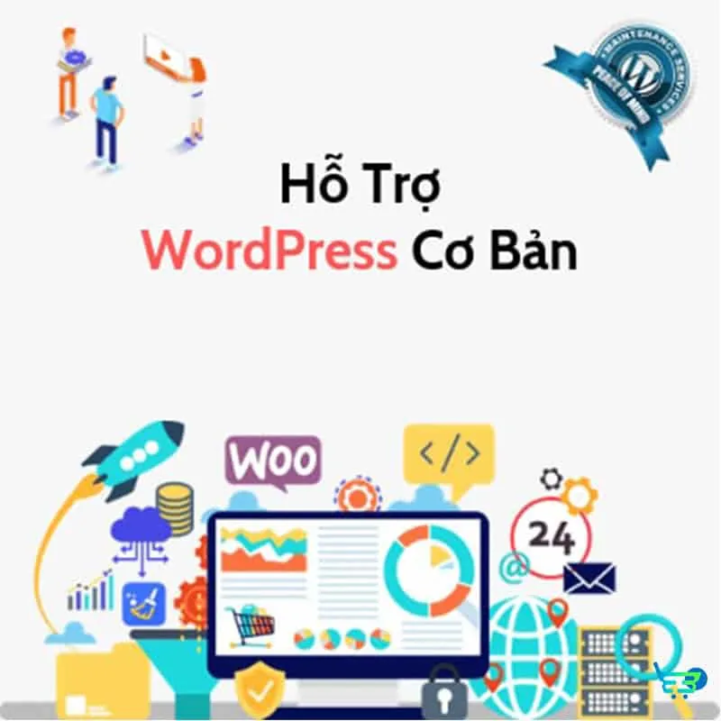 Hỗ trợ WordPress cơ bản