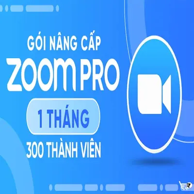 Zoom Pro 300 member chính chủ