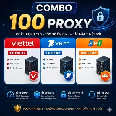100 Proxy