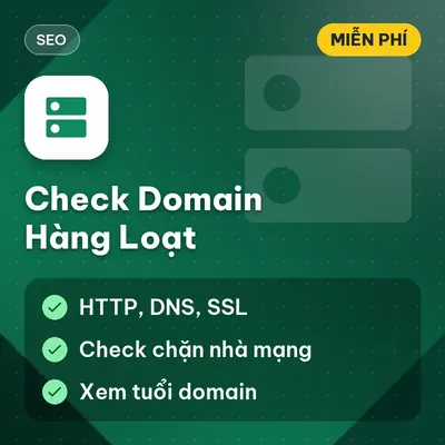 [Miễn Phí] Tool Check Domain Hàng Loạt Kiểm Tra HTTP, DNS, SSL, Chặn VN Và Tuổi Domain, Dùng Ngay!