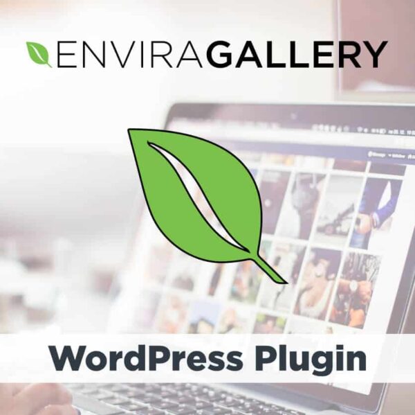 envira gallery wordpress plugin thedevkit