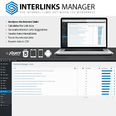 interlinks manager thedevkit