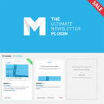 Mailster (Email Newsletter Plugin for WordPress)