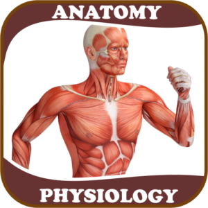 thumbnail Tài khoản Anatomy & Physiology
