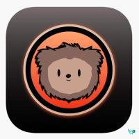 Bearly al