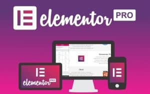 Elementor Pro