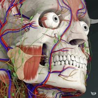 Tài khoản Essential Anatomy 5 thumb