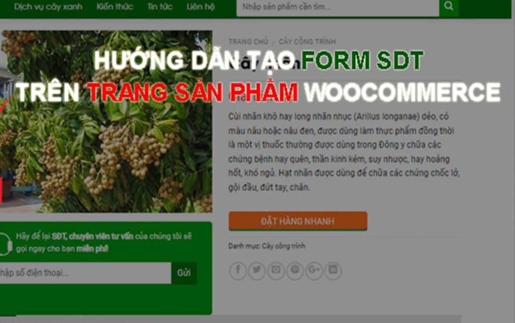 Tạo form lấy SĐT bên dưới Gallery trong trang Sản phẩm