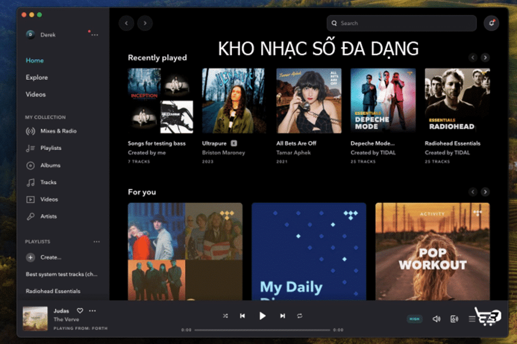 Tidal HiFi Plus chứa đựng kho nhạc số đa dạng