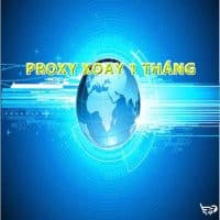 Proxy Xoay 1 Tháng