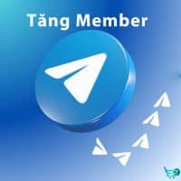Dịch vụ tăng Member Telegram GroupChannel