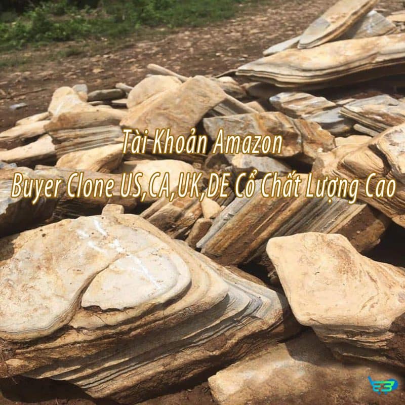 Tài Khoản Amazon Buyer Clone