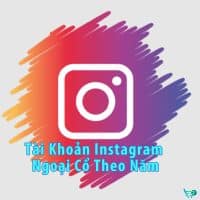 Tài Khoản Instagram Ngoại Cổ Theo Năm