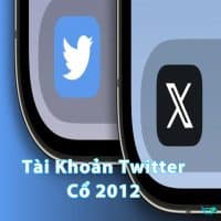 Tài Khoản X (Tài Khoản Twitter)