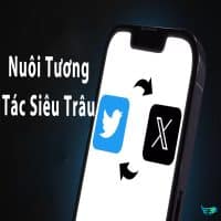 Tài Khoản X (Twitter) Nuôi Tương Tác Siêu Trâu