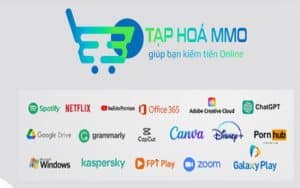 Giới thiệu Tạp hóa MMO