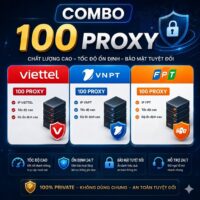 100 Proxy